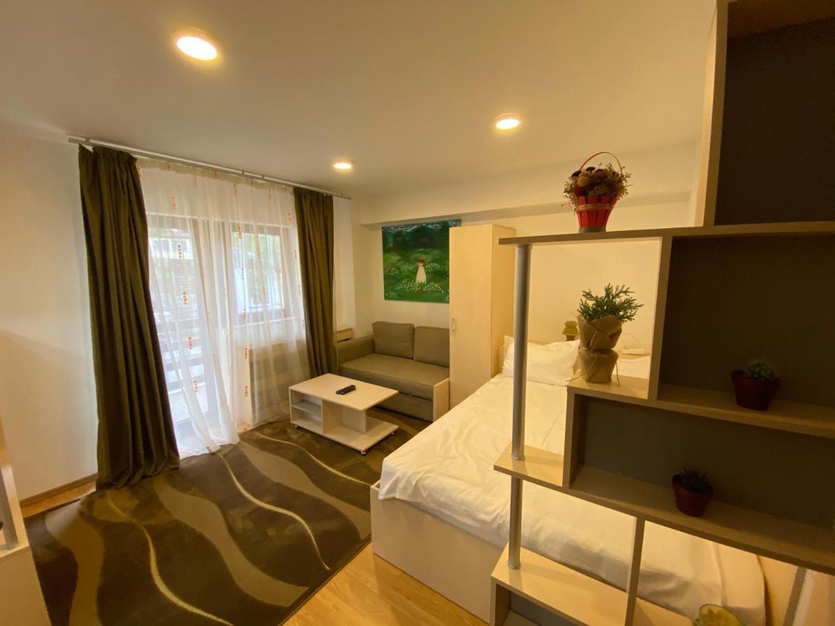Sinaia Chic Minisuite Mirage-Self Check-In&Free Parking Exterior foto